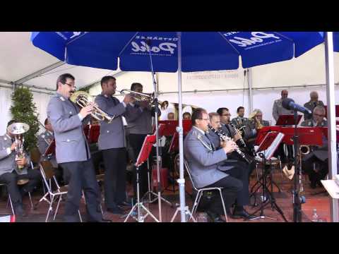 Reservistenmusikzug Bodensee-Oberschwaben -1