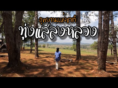อุทยานแห่งชาติทุ่งแสลงหลวง (หนองแม่นา)