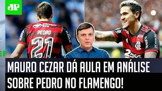 “Não é verdade que o Pedro no Flamengo…”: Mauro Cezar dá aula e faz ótima análise