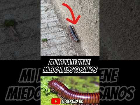 My girlfriend is afraid of worms 😱 #mexico #viral