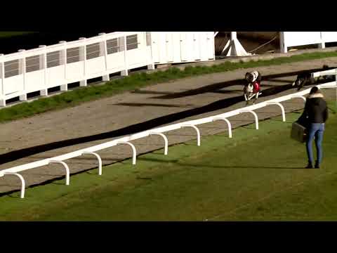 2019.12.14. 10. futam - AGÁR FUTAM