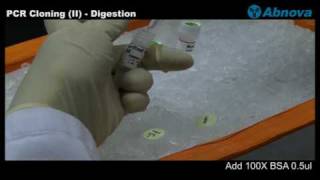 PCR Cloning (II)- Digestion
