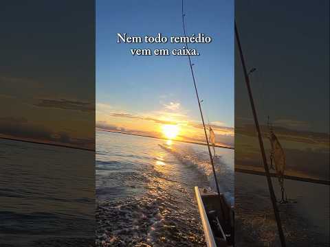 #viral #praia #curtindoapraia