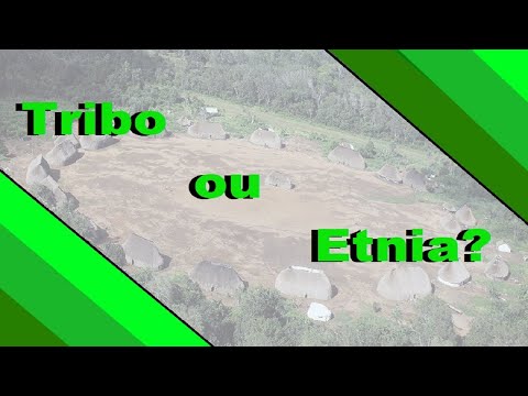 Tribo ou Etnia? Vamos Refletir?
