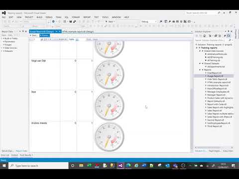 MS SSRS tutorial on gauges