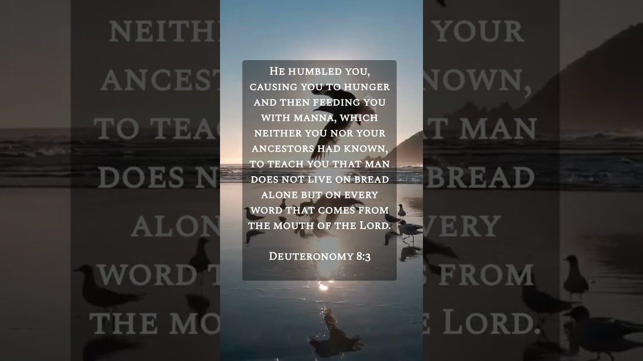 BIBLE VERSE DEUTERONOMY 8:3 #bible #shorts