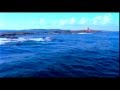 Tim Janis Coastal America Narrated by George Clooney