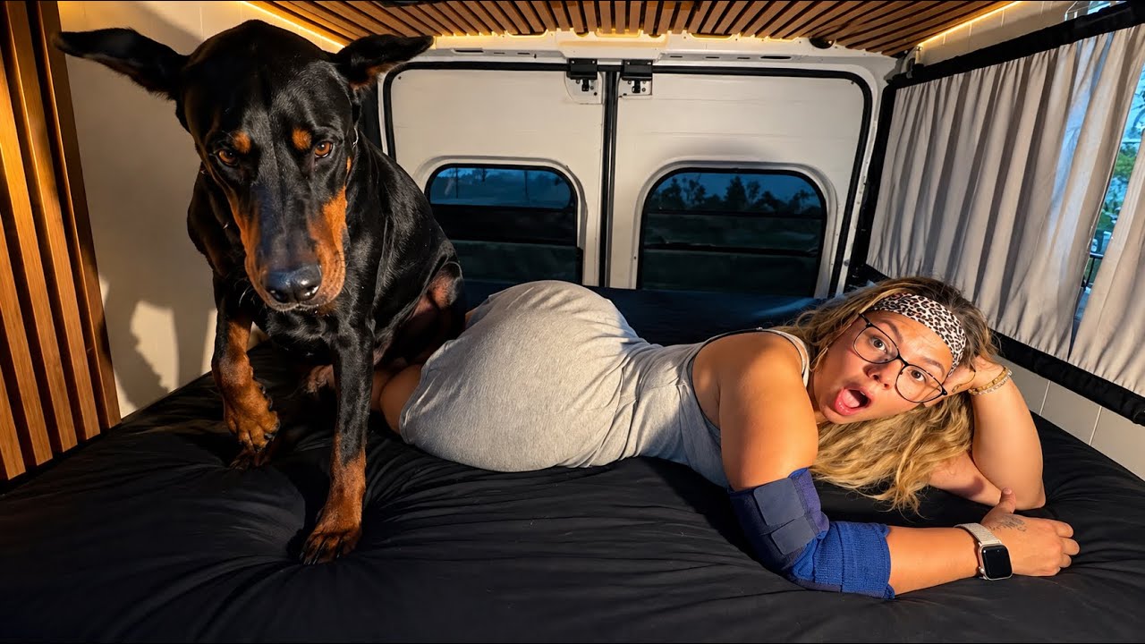 Yoga In Bed With a Dress And a Big Dog