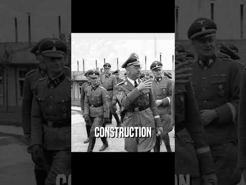 Horrific Conditions Of The Mauthausen Nazi Camp