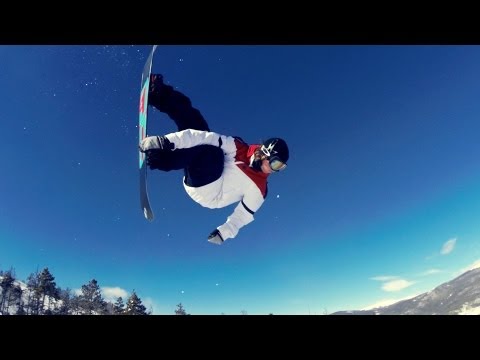 The Message - Shred Bots