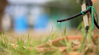 Olivos irrigados con aguas residuales tratadas, un proyecto piloto lucha así contra la sequía