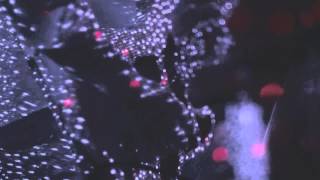 Tycho   Spectre (Bibio remix) unofficial video