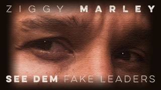 See Dem Fake Leaders by Ziggy Marley (2017)