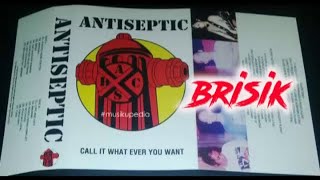 Download lagu (Full Album) Antiseptic # Call It What Ever You Want mp3