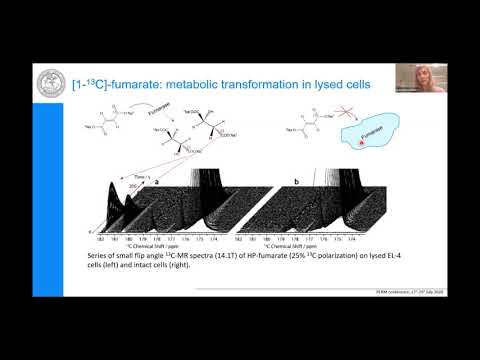 Bio-translation and clinical translation of PHIP in cells and in vivo - YouTube