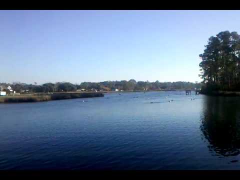 download lagu mp3 mp4 Pelicans On The Bayou, download lagu Pelicans On The Bayou gratis, unduh video klip Pelicans On The Bayou