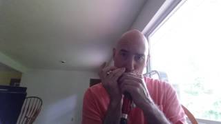 David Fathead Newman Willow Weep For Me David Kettlewell chromatic harmonica