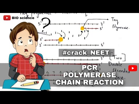 Bt cotton production Bacillus thuringiensis Action of Bt toxin Advantages Cry gene