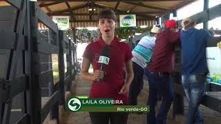 Miniatura do vídeo