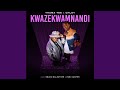 Thama Tee & Chley - Kwaze Kwamnandi  (Official Audio) (Ft. Sbuda Maleather & Pabi Cooper) | AMAPIANO