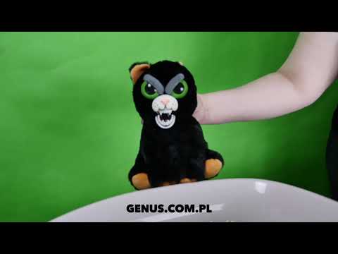 Dobry żwirek dla kota?  Żwirki tofu My Friend są super: nie pylą i zbrylają się najlepiej. #zwirek