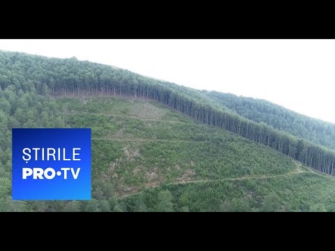 Stirile PRO TV - Motivul pentru care fermierii romani fug de banii dati de stat