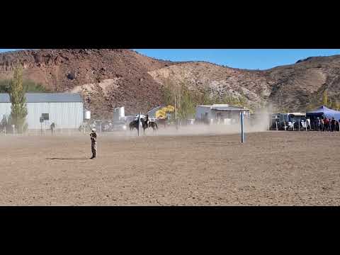 💥Grandes Pruebas de Rienda en Las Plumas_ Chubut_ Categoría Libre y Repechaje 🛢🏇☘️