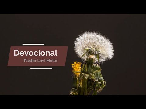 Devocional | Lealdade a Deus acima de tudo (Mateus 4:1-4)