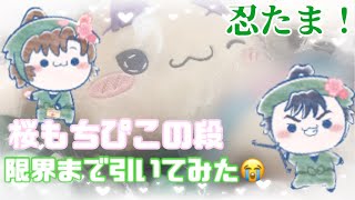 【忍たま】久しぶりに忍たまグッズを大量購入するも相変わらずの運で泣いた😭【くじ】