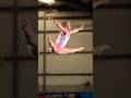 Let Dreams Take Flight DancePhotography Gymnast Athlete Level10