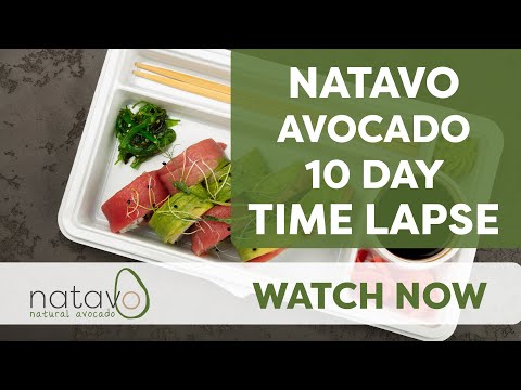 Natavo Avocado 10 Day Time Lapse Video