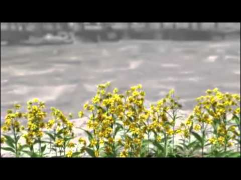 Final Fantasy VII Advent Children - I Will Not Bow