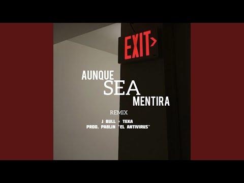 Aunque Sea Mentira (Remix)
