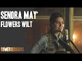 Senora May - Flowers Wilt (SomerSessions)