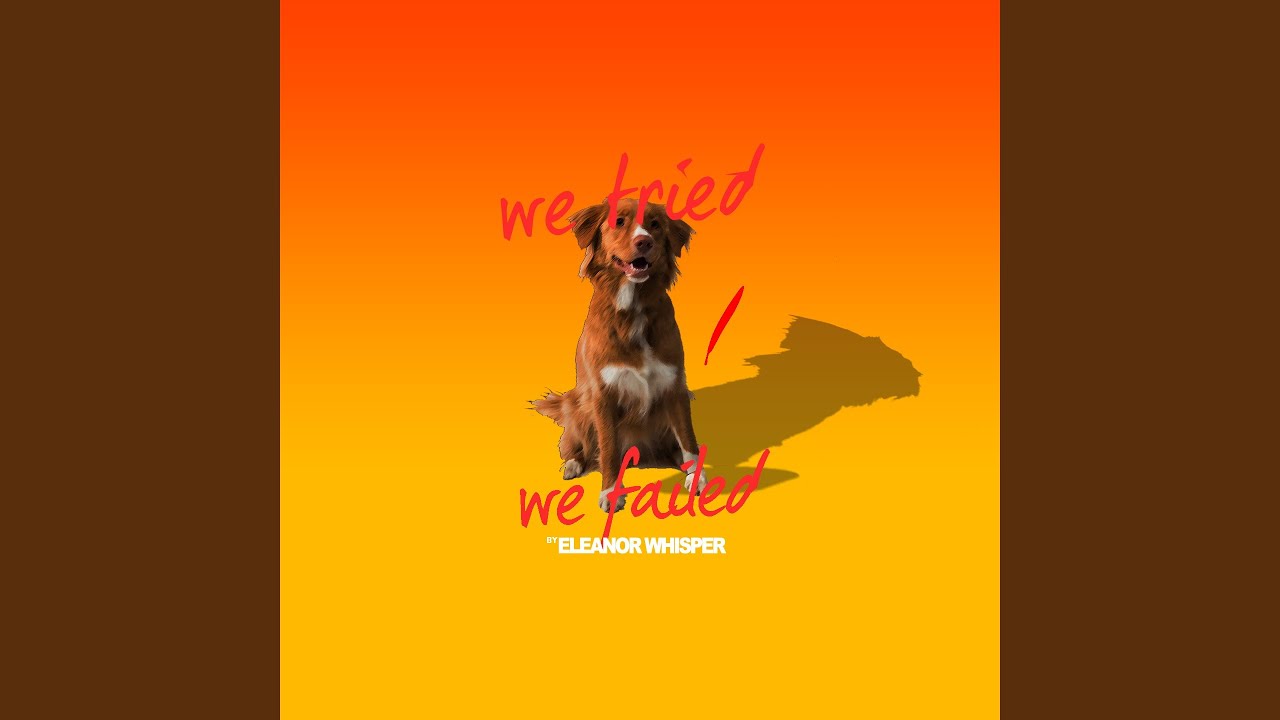 We Tried / We Failed