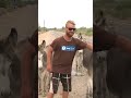 Donkey Ride Fail Donkey Funny Comedy Animals