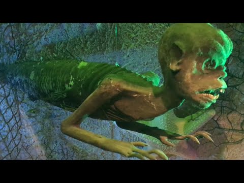 TDW 1505 - These Are Rare and Terrifying