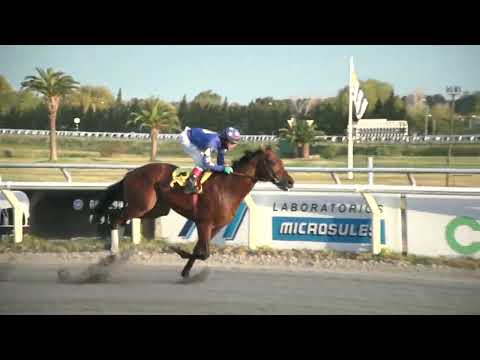 220604 c09 - PROCURADOR - HIPODROMO LAS PIEDRAS