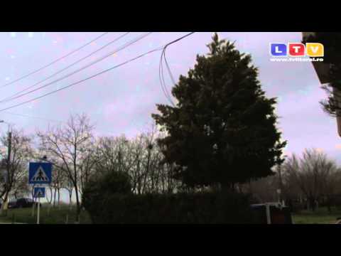 SC RAJA SA a activat încă de ieri Comandamentul pentru situaţii de urgenţă - Litoral TV