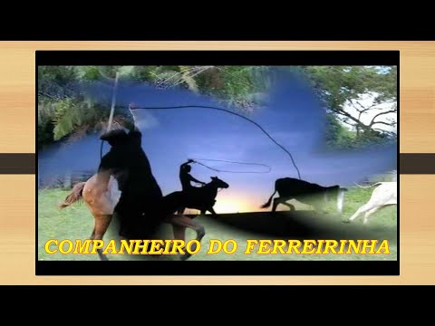 Companheiro do Ferreirinha - Tião Carreiro e Pardinho