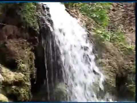 GRUPO NECTAR EN VIVO LA NOCHE DE SETIEMBRE