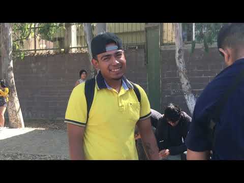 MC BRO vs ALDEBARAN OCTAVOS (Freestyle Parque de la Amistad)
