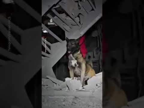 Red Crescent video shows aftermath of strike on homes in Iran’s Urmia | AJ #shorts