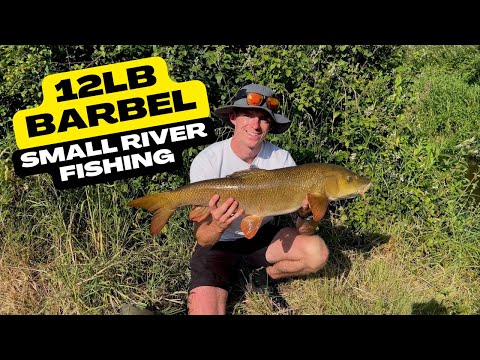 NEW RIVER SEASON BARBEL FISHING!