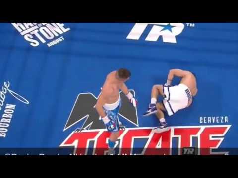 Oleksandr Gvozdyk vs Nadjib Mohammedi knockout
