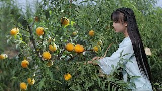 iced can of yellow peaches 黄桃罐头：炎炎夏日，来罐冰镇黄桃罐头怎么样？丨Liziqi Channel