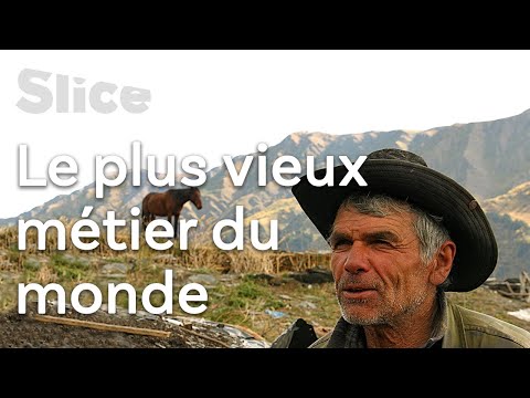 , title : 'La rude vie d’un berger des montagnes de Géorgie I SLICE'