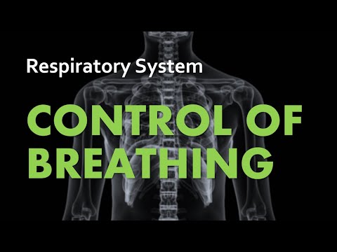 Control of Breathing | Respiratory System 05 | Anatomy & Physiology