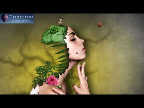 Super Intelligence: Memory Music, Improve Memory and Concentration, Binaural Beats Focus Music