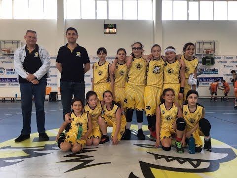 CS4 Lumina Wolves - Leii 54-16 [MBF]